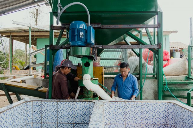 Honey process coffee from NO DECAF ALLOWED